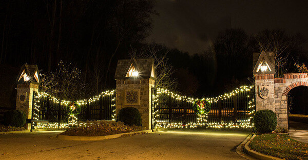 Professional Christmas Lights