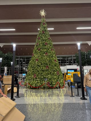 BNA Tree 1