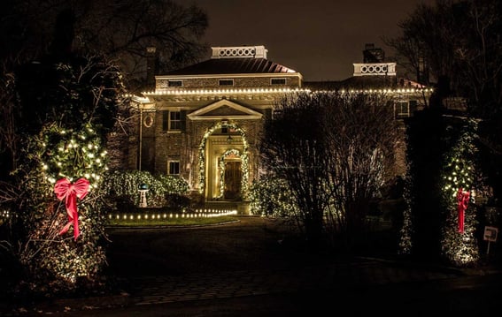 Holiday lights with greenery