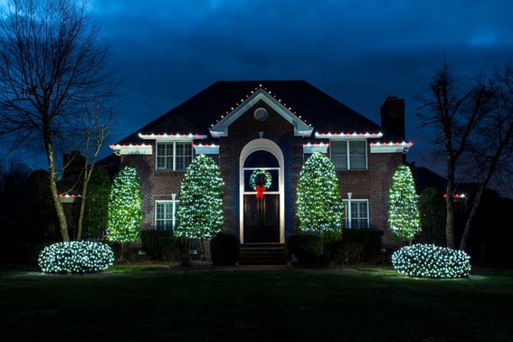 Bright white holiday lights