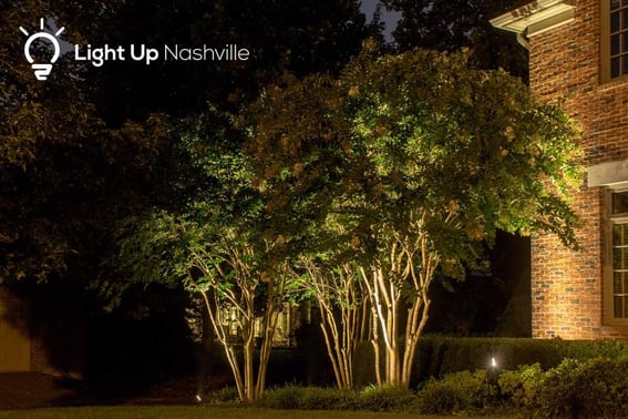 Outdoor LED uplighting to increase curb appeal on crepe myrtle landscape