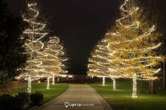 holiday lit walkway trees