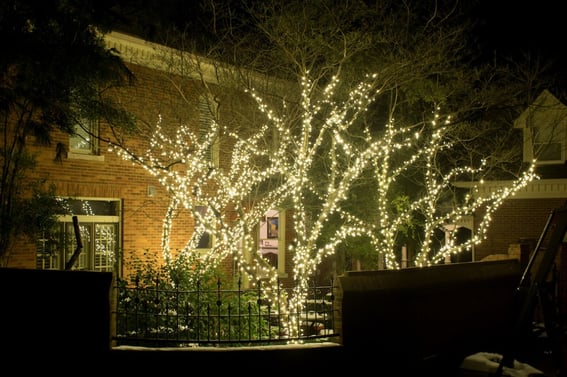 Permanent Decorative Tree Wraps, How To Put Landscape Lights In Trees