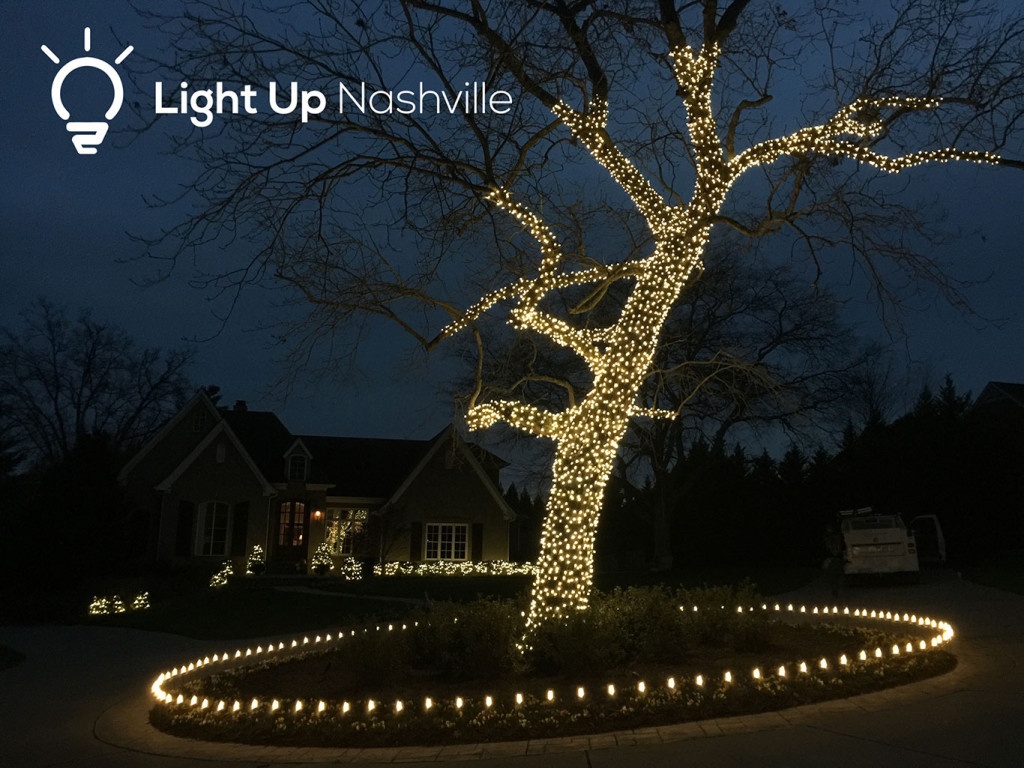 Tree trunk store lights